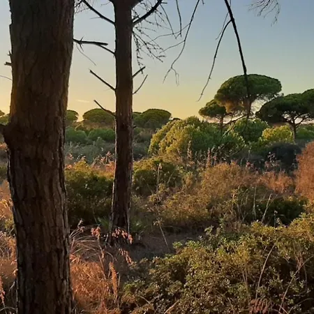 Будинок відпочинку Andalusian Pool 6 Pax In Subtropical Garden