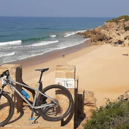 Casa Palmera Conil De La Frontera