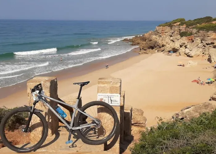 Casa Palmera Conil De La Frontera