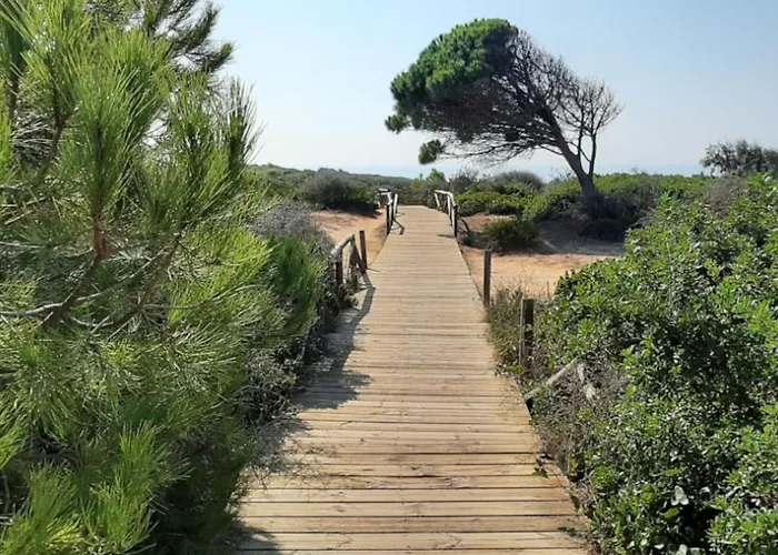 Semesterbostad Casa Palmera