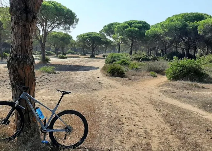 Casa Palmera Semesterbostad *