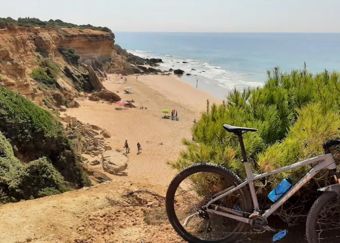 Casa Palmera Semesterbostad *